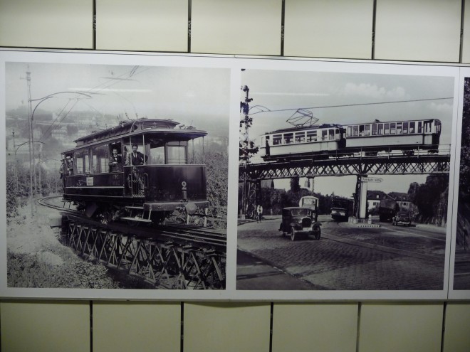 P1130316.JPG
