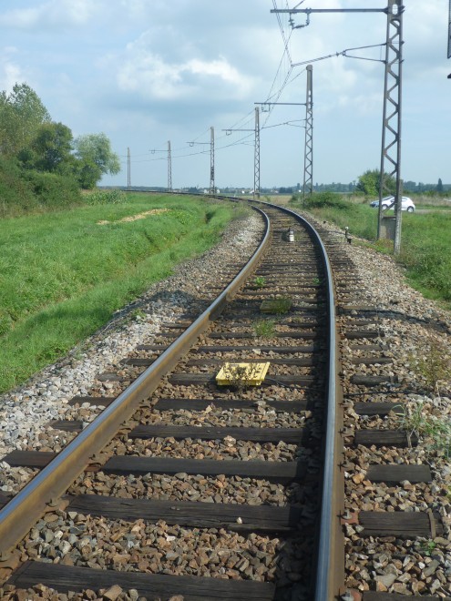 P1080733.JPG