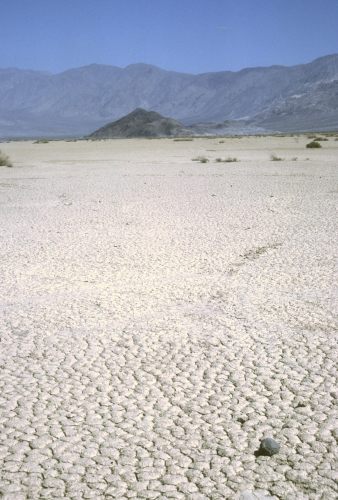 87-08-614usa2_1.jpg