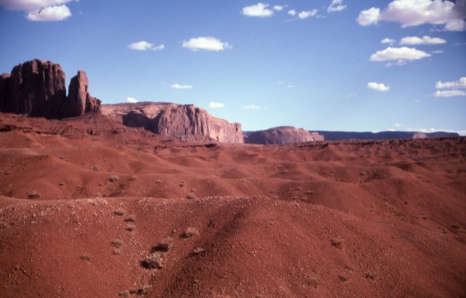 File0113.jpg