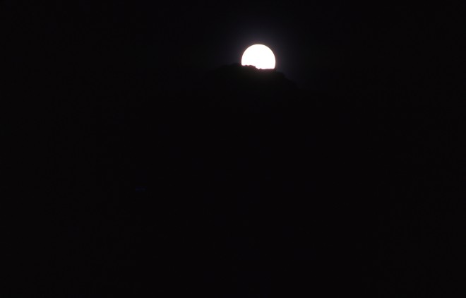 File0139.jpg