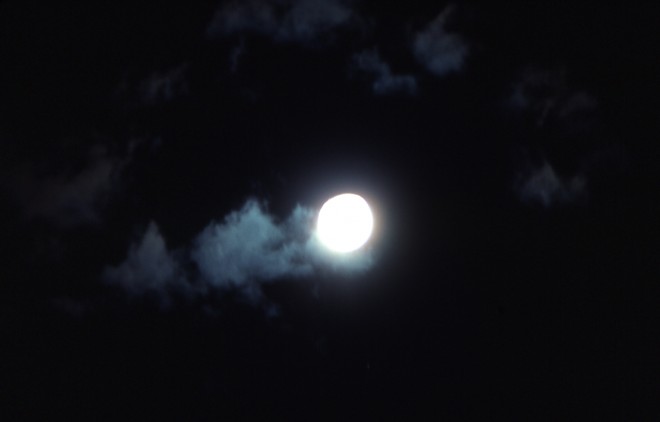 File0049.jpg