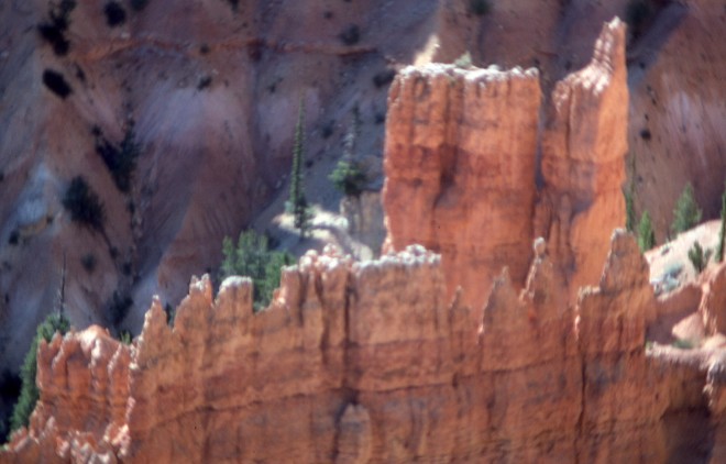 File0045.jpg
