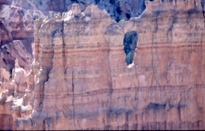 File0046.jpg