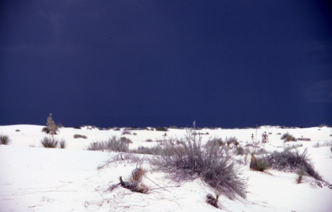 File0058.jpg