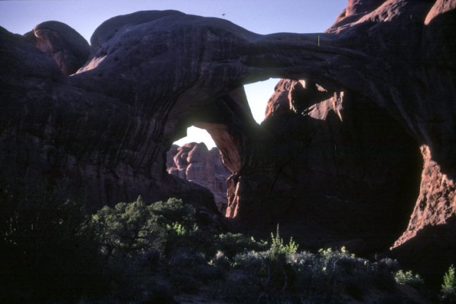 7-90-05-215usa.jpg