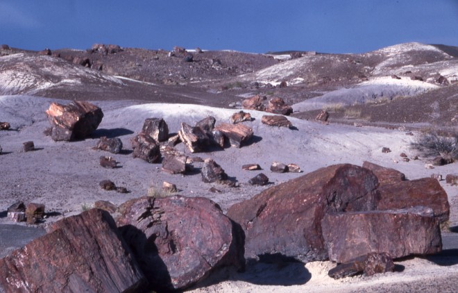 File0176.jpg