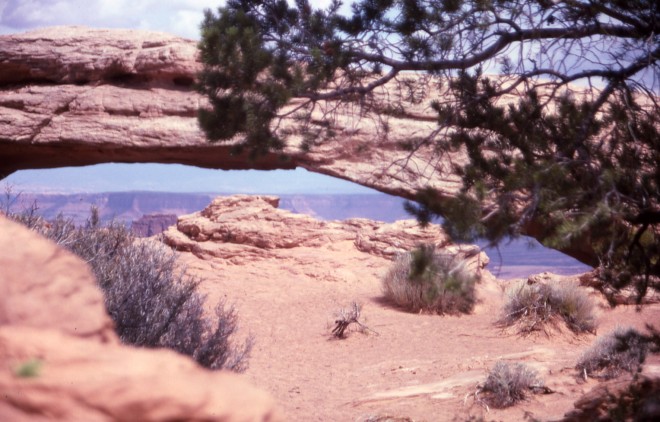 File0210.jpg