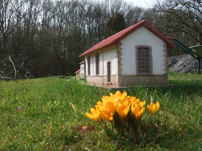 Train de jardin 297.jpg