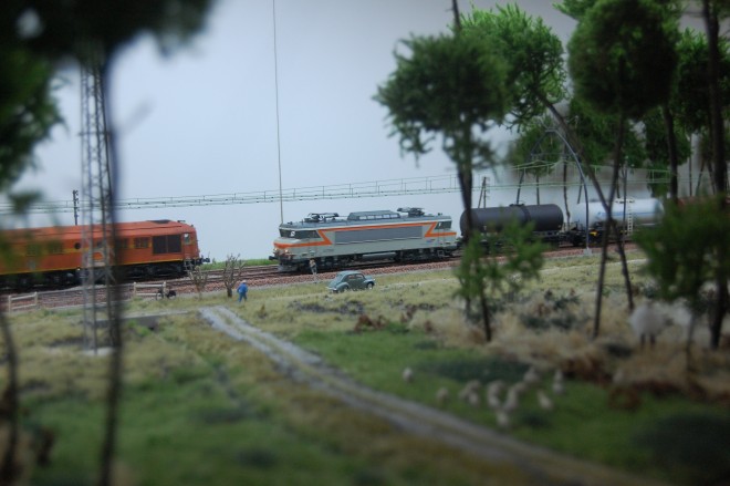 DSC_9550.JPG