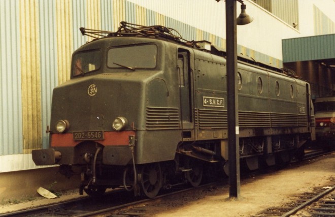 5546-1.jpg