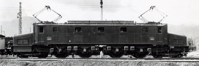 242 AE PLM.jpg