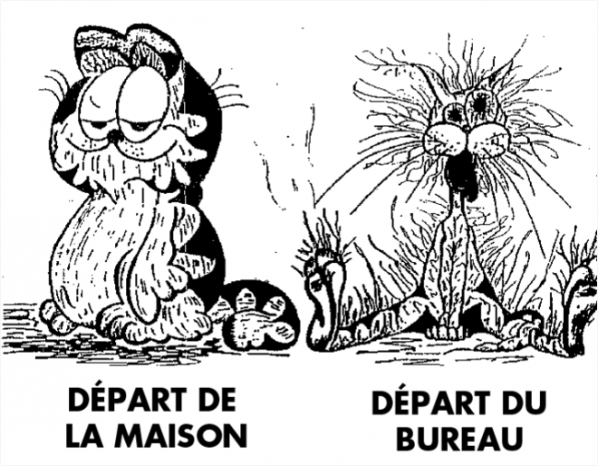 Image1.png