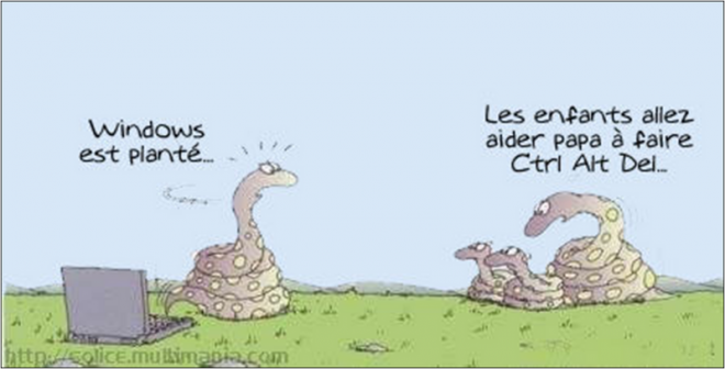 Image1 (Copier).png