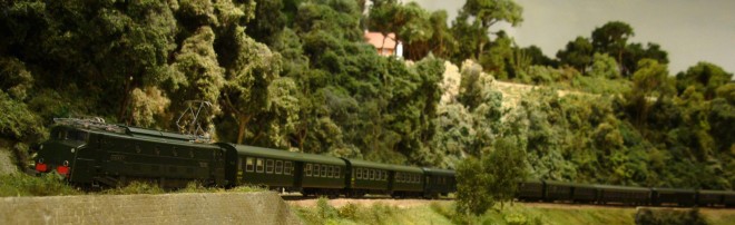 5550.jpg