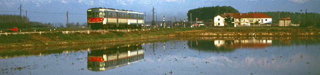 05850.jpg