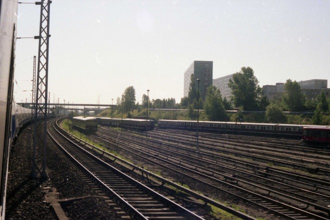 img010.jpg