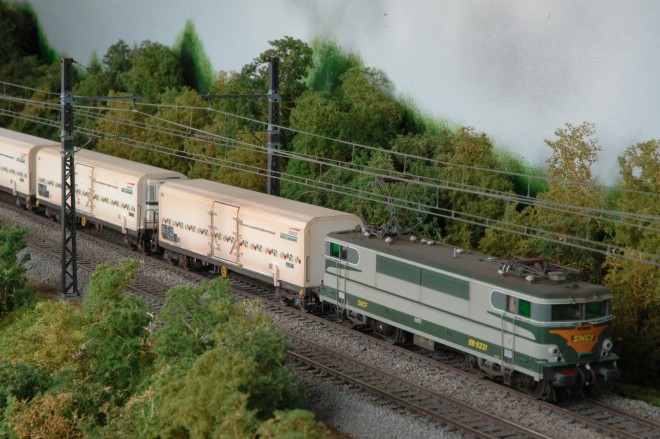 DSC_5557.JPG