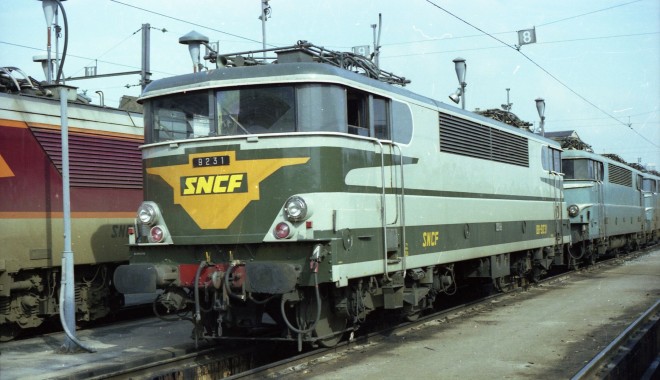 9231.jpg
