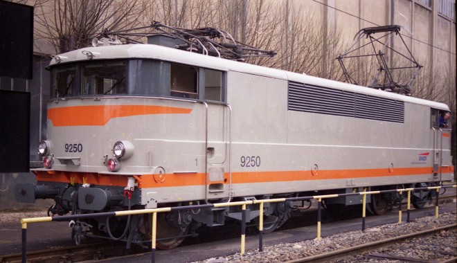 9250.jpg