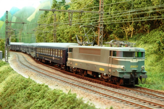 DSC_4339.JPG