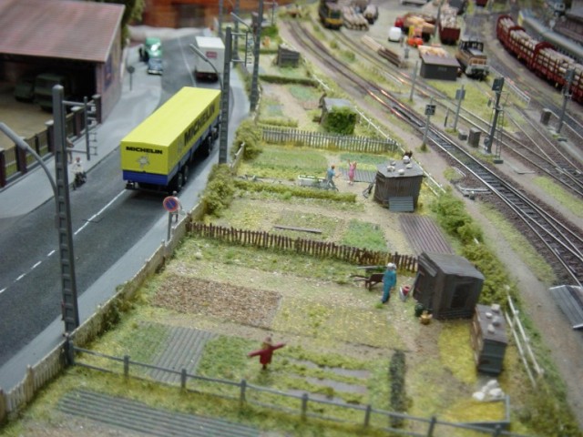 DSC01234.JPG