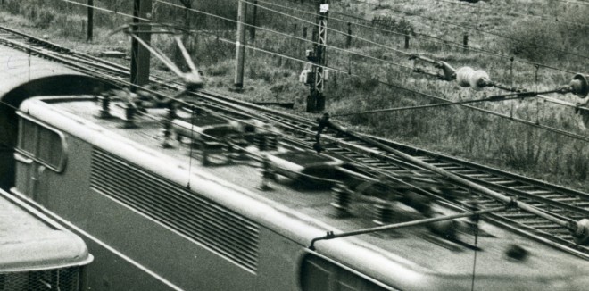 img003.jpg