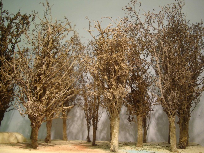 Bosquet 2.jpg