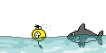 akula.gif