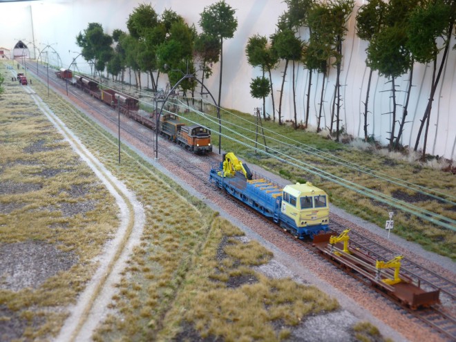forum train 2.jpg