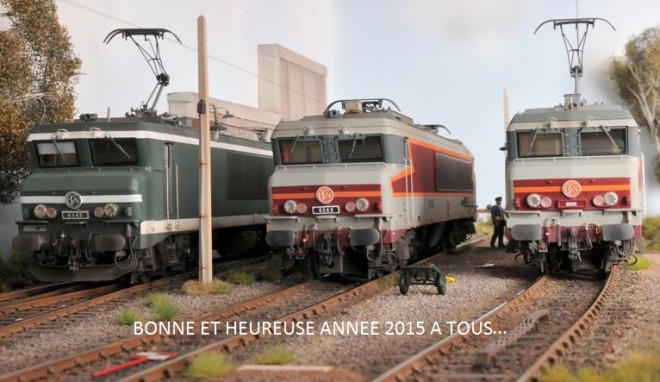 Voeux 2015 (2).jpg