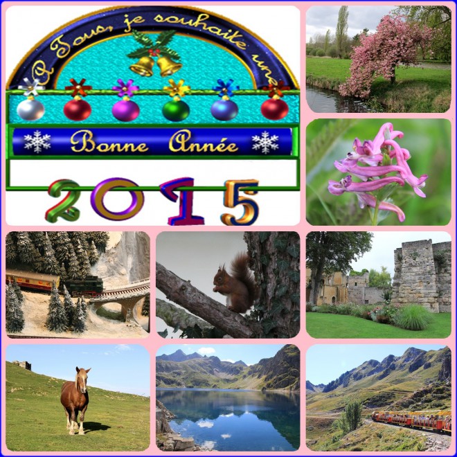 Voeux pour 2015.jpg