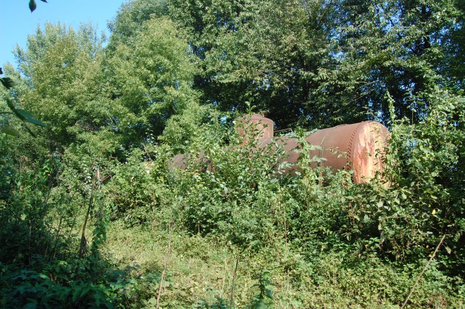 DSC_0043.JPG