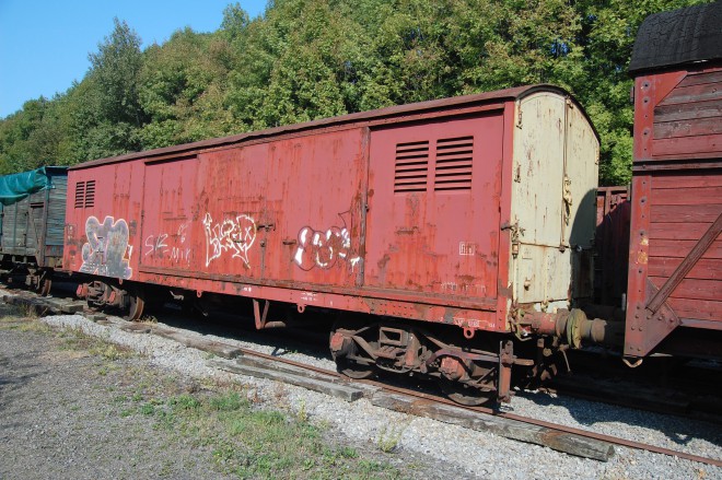 DSC_0047.JPG