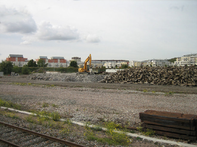 IMG_8420.JPG