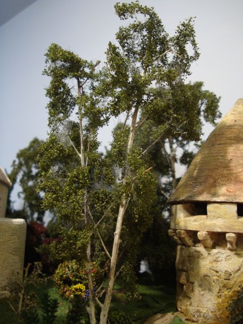 DSC09265.jpg