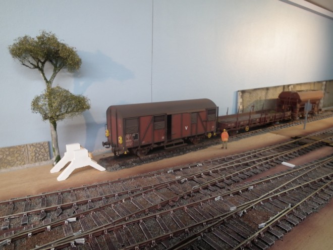 DSCF9523.JPG