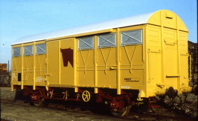 G40-2 Bovins.jpg