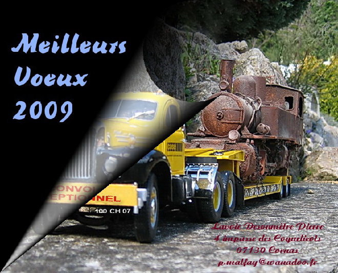Voeux-2009.jpg