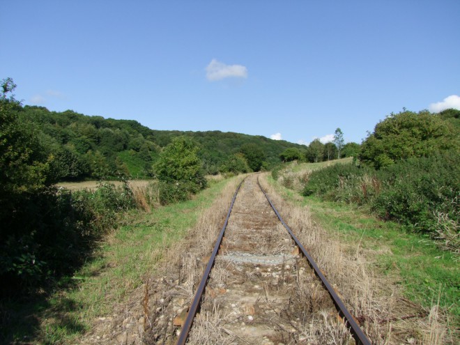 DSCF7131.JPG