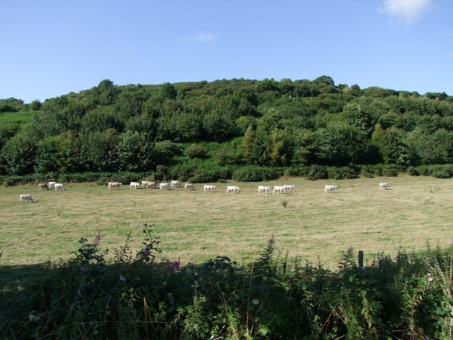 DSCF7135.JPG