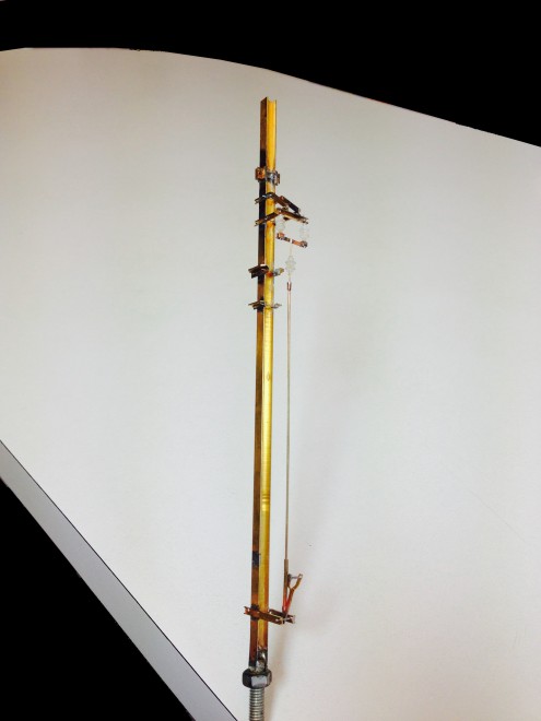 P5.jpg