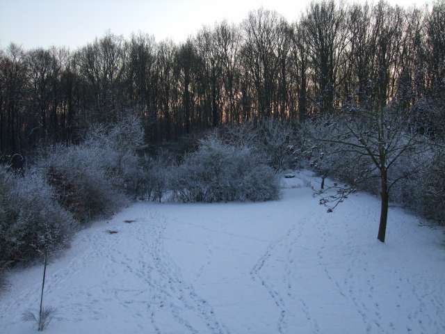 Froid_PhotoRedukto.jpg