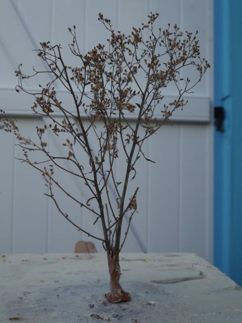 P1000465 réduit.jpg