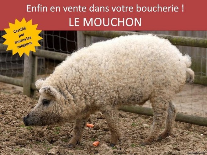 le-mouchon.jpg
