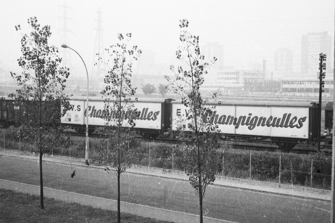 41 - Wagons EVS Champigneulles.jpg