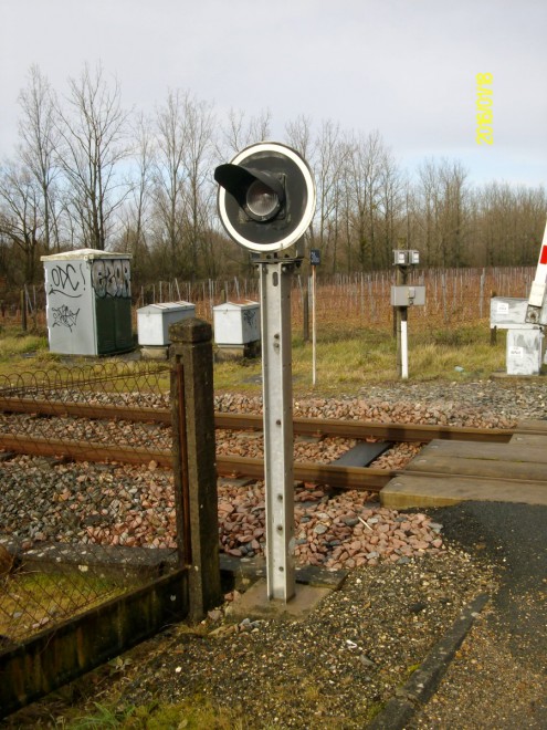 IMGP4449.JPG