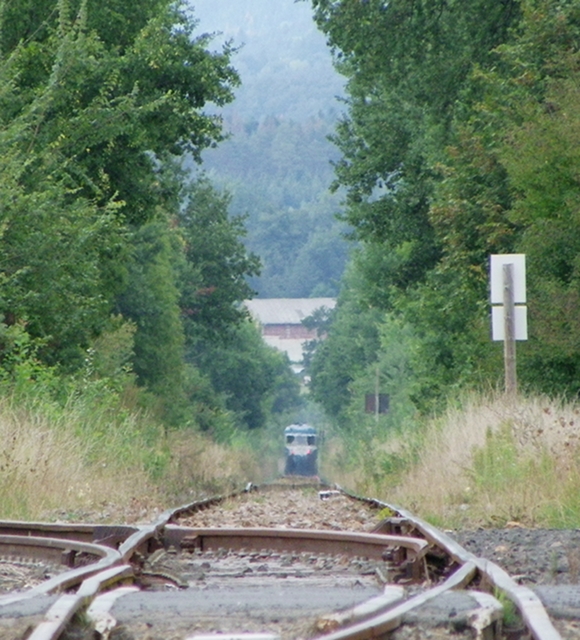 arlanclointx2856.jpg