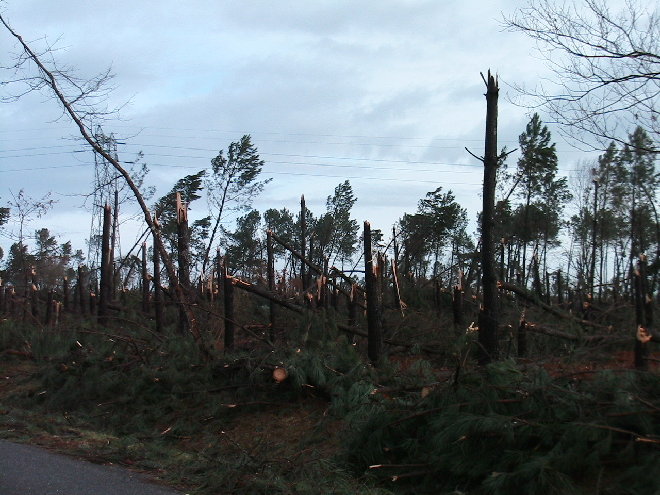 PHOTOARCHIVES 2009 02 006.jpg
