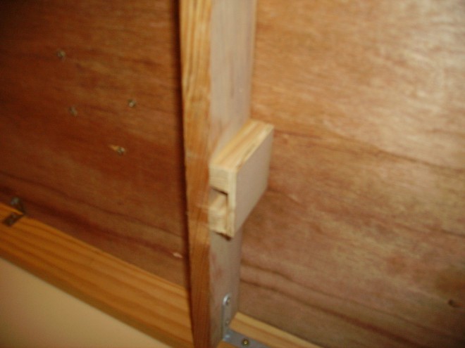 PICT3517.JPG